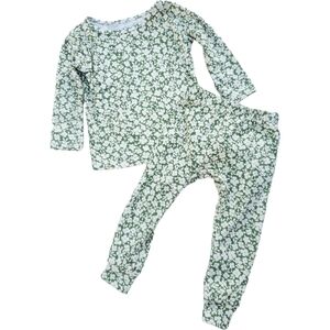 Cozy's 2 Piece Pajama Set Top & Bottoms Green Floral Baby Girls 3-6 Months